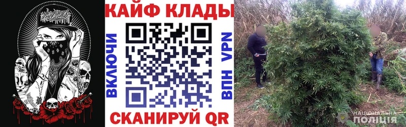 Где можно купить наркотики Орёл Гашиш  КОКАИН  КЕТАМИН  Меф мяу мяу  Alpha-PVP 