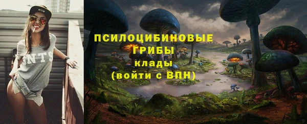 круглые Алзамай